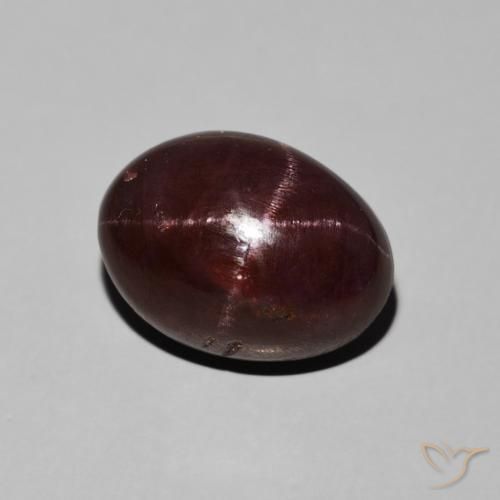 11.30ct Natural Vermelho escuro Granada Estrela, oval, Opaco