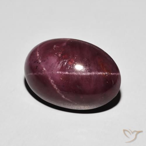 Granada Estrela Vermelho escuro Natural 17.39ct, oval, Opaco