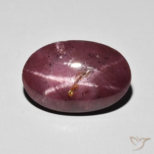 10.84ct Natural Vermelho escuro Granada Estrela, oval, Opaco