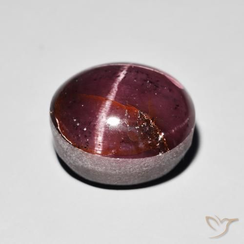 Granada Estrela vermelho mogno Natural 15.64ct, oval, Opaco