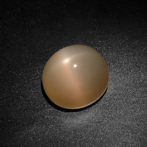 Pedra da lua estrela creme natural 15,59ct, transparente, transparente/translúcido
