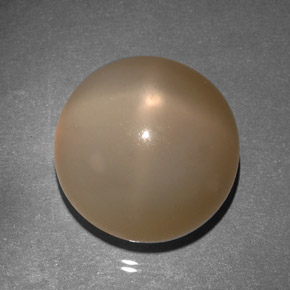 Pedra da Lua Estrela Pêssego Creme Natural 22.25ct, Transparente, Transparente/Translúcido