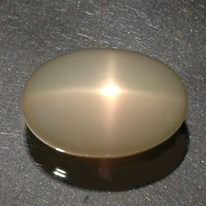 Pedra da lua estrela creme natural 34,17ct, transparente, transparente/translúcido