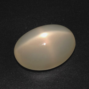 Pedra da Lua Estrela Creme Natural 16.55ct, Corte Oval, Translúcido