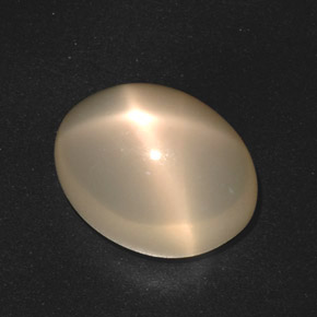 Pedra da lua estrela creme natural 17,40ct, corte oval, translúcido