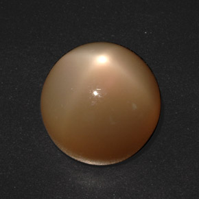 Pedra da Lua Estrela creme de laranja Natural 20.73ct, Corte Redondo, Translúcido