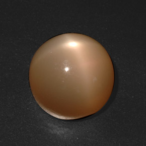 Pedra da Lua Estrela creme de laranja Natural 20.73ct, Corte Redondo, Translúcido