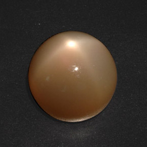 Pedra da Lua Estrela creme de laranja Natural 20.73ct, Corte Redondo, Translúcido