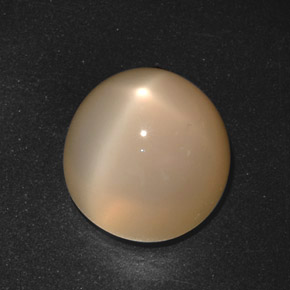 Pedra da lua estrela creme natural 21,40ct, corte redondo, translúcido