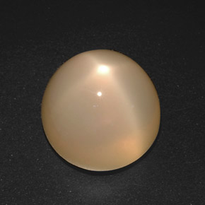 Pedra da lua estrela creme natural 21,40ct, corte redondo, translúcido