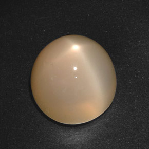 Pedra da lua estrela creme natural 21,40ct, corte redondo, translúcido