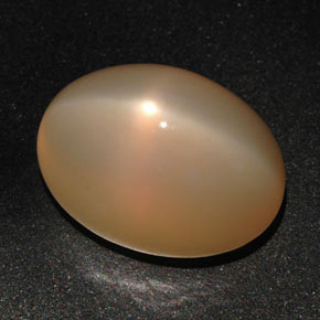 Pedra da lua estrela laranja natural 22,59ct, corte oval, translúcido