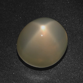 Pedra da lua estrela creme natural 16,01ct, corte oval, translúcido