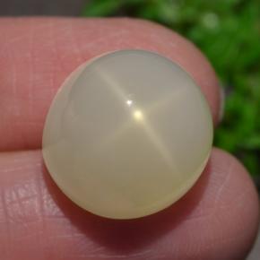 Pedra da lua estrela creme natural 15,93ct, corte oval, translúcido