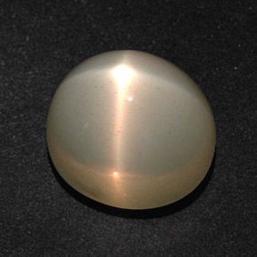Pedra da Lua Estrela Creme Natural 14.28ct, Corte Oval, Translúcido