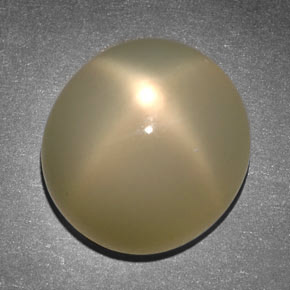 Pedra da lua estrela creme natural 14,65ct, corte oval, translúcido