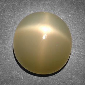 Pedra da lua estrela creme natural 14,65ct, corte oval, translúcido