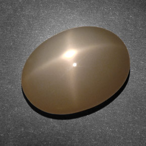 Pedra da lua estrela creme natural 10,45ct, corte oval, translúcido