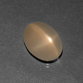 Pedra da lua estrela creme natural 7,09ct, transparente, transparente/translúcido