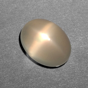 Pedra da lua estrela creme natural 10,79ct, transparente, transparente/translúcido