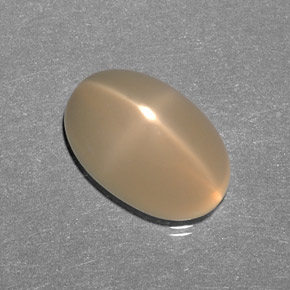 Pedra da Lua Estrela Creme Natural 8.26ct, Transparente, Transparente/Translúcido