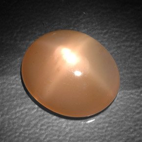 Pedra da lua estrela creme natural 6,06ct, transparente, transparente/translúcido