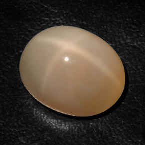 Pedra da lua estrela laranja natural 17,94ct, transparente, transparente/translúcido