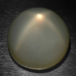 Pedra da lua estrela cinza natural 24,37ct, corte redondo, translúcido