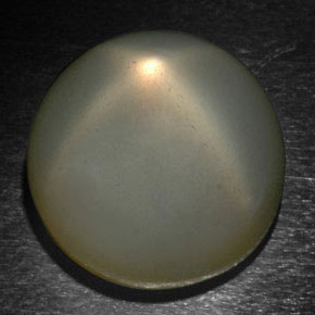 Pedra da lua estrela cinza natural 24,37ct, corte redondo, translúcido
