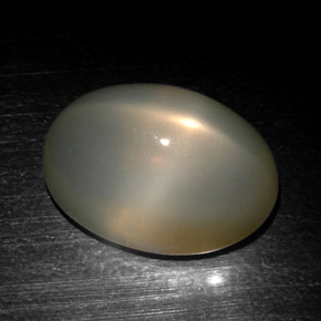 Pedra da lua estrela cinza natural 18,57ct, corte oval, translúcido