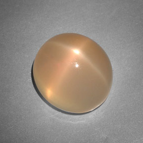 Pedra da lua estrela laranja natural 7,48ct, transparente, transparente/translúcido