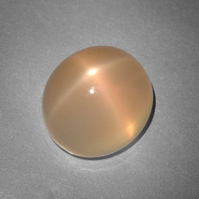 Pedra da lua estrela laranja natural 7,48ct, transparente, transparente/translúcido