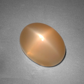 Pedra da lua estrela laranja natural 6,88ct, transparente, transparente/translúcido