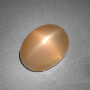 Pedra da lua estrela laranja natural 6,88ct, transparente, transparente/translúcido