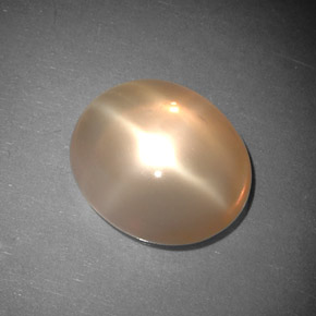 Pedra da Lua Estrela pêssego laranja Natural 5.31ct, Transparente, Transparente/Translúcido
