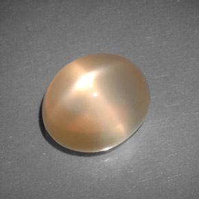 Pedra da lua estrela laranja natural 6,83ct, transparente, transparente/translúcido
