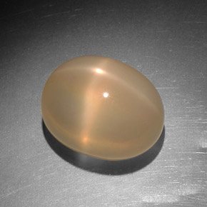 Pedra da lua estrela laranja natural 9,14ct, transparente, transparente/translúcido