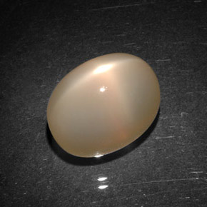 Pedra da lua estrela laranja natural 9,06ct, transparente, transparente/translúcido