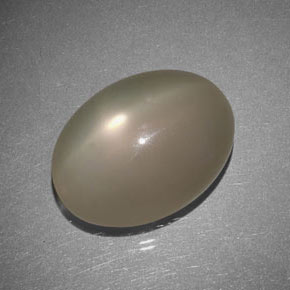 Pedra da lua estrela cinza natural 21,17ct, transparente, transparente/translúcido