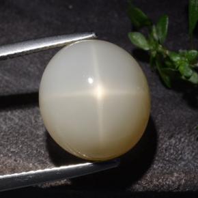 Pedra da lua estrela creme natural 10,60ct, corte oval, translúcido