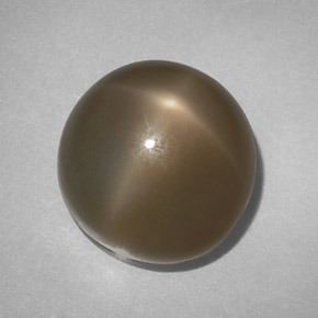Pedra da lua estrela esfumado natural 14,61ct, corte redondo, translúcido