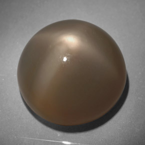 Pedra da lua estrela cinza natural 18,64ct, corte redondo, translúcido