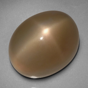 Pedra da lua estrela cinza natural 33,24ct, transparente, transparente/translúcido