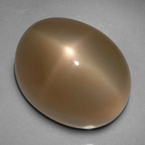 Pedra da lua estrela cinza natural 33,24ct, transparente, transparente/translúcido