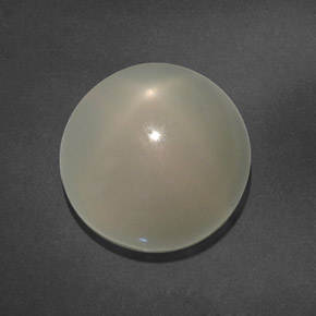 Pedra da lua estrela branco natural 15,64ct, transparente, transparente/translúcido