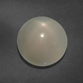 Pedra da lua estrela branco natural 15,64ct, transparente, transparente/translúcido