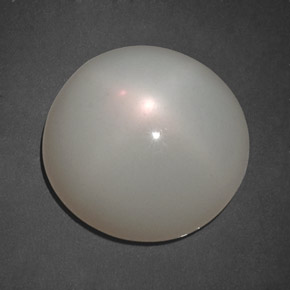 Pedra da lua estrela branco natural 10,98ct, transparente, transparente/translúcido