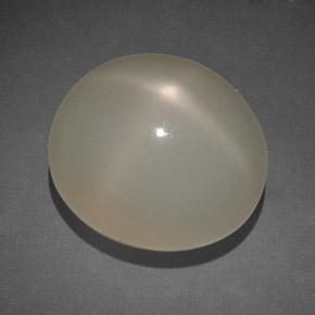 Pedra da lua estrela creme natural 14,00ct, transparente, transparente/translúcido