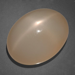 Pedra da lua estrela laranja natural 19,69ct, transparente, transparente/translúcido
