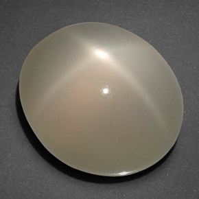 Pedra da lua estrela creme natural 20,40ct, transparente, transparente/translúcido